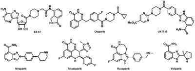 Poly (ADP-ribose) polymerases as PET imaging targets for central nervous system diseases